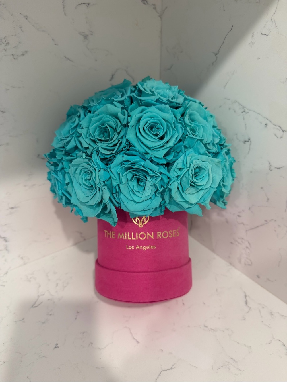 “The Million Roses” Preserved Turquoise Rose Arrangement Pink Velvet Box